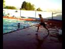 MOV0011A.avi MOV0011A.avi
