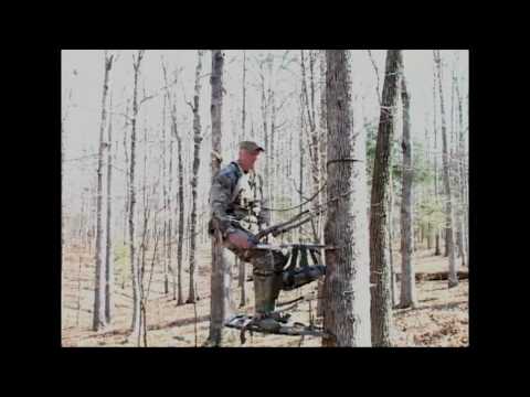 how to use a climbing tree stand