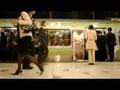Timelapse Video From Around the World - Unbelievable Video