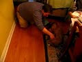 Nutmeg Gets Vacuumed