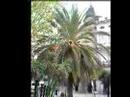 \"Tranquiliza tu mente\" de Atanes M. Anxo (Ourense)
