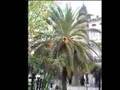 Tranquiliza tu mente de Atanes M. Anxo (Ourense)