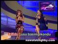 Nawal Zoghbi Enta Meen
