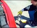 Gas Prices Kill Us NO MORE