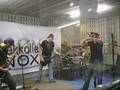 Forlorn Shelter-Between the Law and the Landlord 