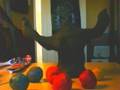 videos de blobz 2
