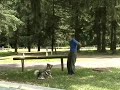 See Video