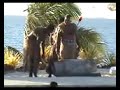 Torch Lighting At Trendwest, Fiji Torch Lighting At Trendwest, Fiji