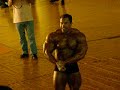 andreas frey