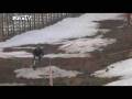 Red Bull White Downhill CHILE // El colorado Farellones// ECOXTREME TV
