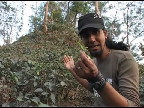 sylhet - 