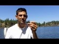 How to Fish a Jig l 6lb Largemouth