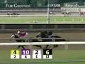 FAIR GROUNDS, 2008-11-15, Race 2