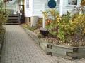 Worm Composting