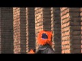 Las muelas de Guaripolo / El crimen de la legación alemana