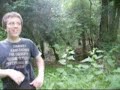 how to give a phsycic reading