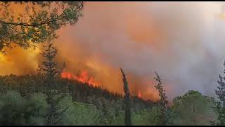 הרי ירושלים: שריפת הענק מתחדשת