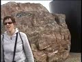 南アフリカ 喜望峰（Ｄｒ．Ｓの海外旅行）