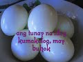 talong song