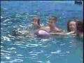 Nager avec les dauphins à Manati Park