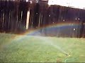 Crazy Sprinkler Lady
