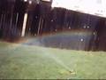 Crazy Sprinkler Lady