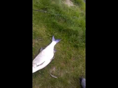 See video