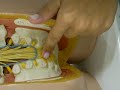 Neuroanatomia 5 Facimed Medicia