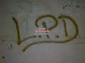 LOS PIBES DE DOMINICO [-=L.P.D=-]