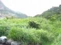 別府温泉 / 鍋山の湯  その１