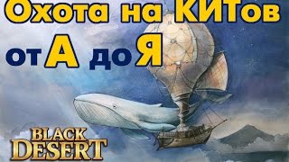 Black Desert (RU) - Полный гайд по охоте на китов Black Desert (RU) - Полный гайд по охоте на китов