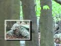 Real Outdoors TV / Turkey Hunting / Blindsiding Gobblers
