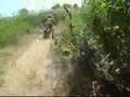 ninjya　on　S.O.P