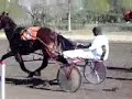 Pehuajo Harness Racing (Argentina) 27/05/07