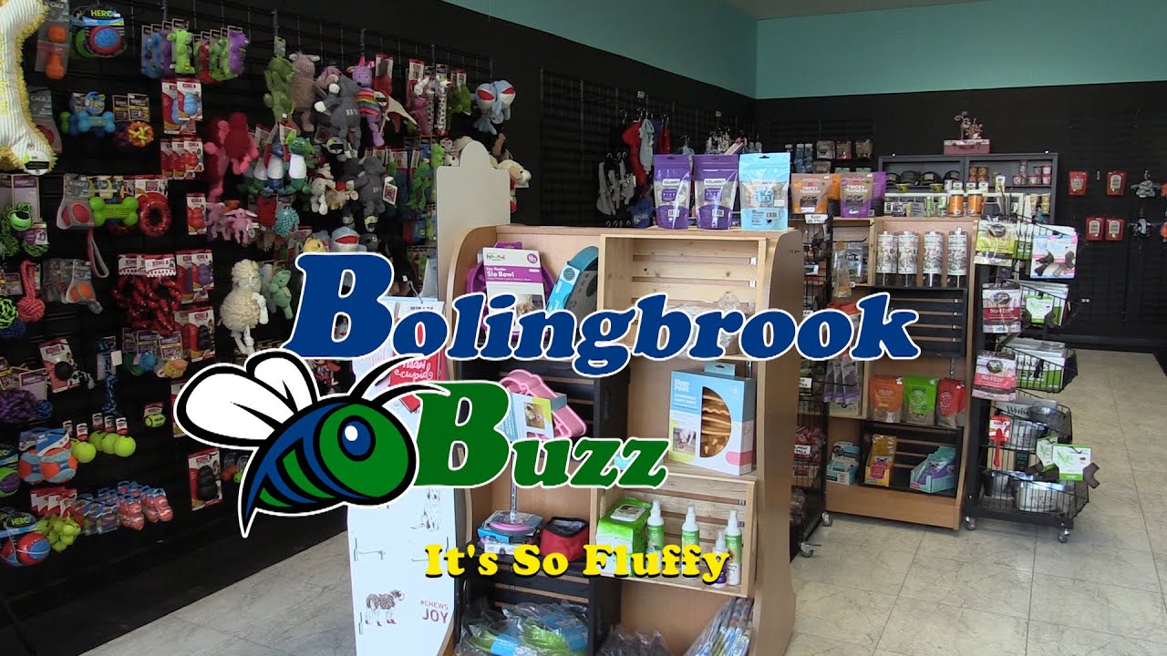 Bolingbrook Buzz - It's So Fluffy