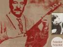 Ali Ekber Cicek - Deli Gönül Hangi Dala Konarsin