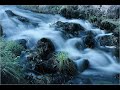 sublevados - agua cristalina