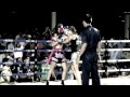 Fight Night! (at SINBI MUAY THAI)