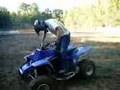 QUAD in French Forest (part 2)