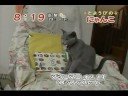 videos de MARSH on FUJI TV