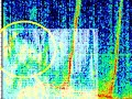 Saturn Alien Speech Part 2 - Spectrograph Analysis: NEAT!