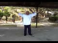 He style Zhaobao Taijiquan 1