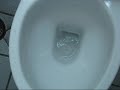 Non American Toilet