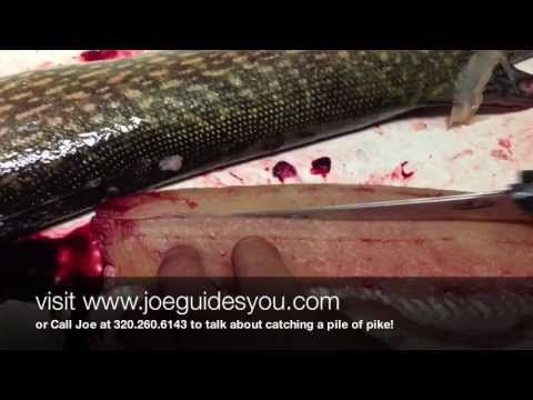 how to remove northern pike y bones