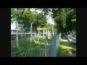 Formula one in Monza 2008