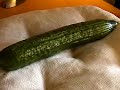 Cucumber Man