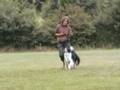 videos de Claudia & Tilly