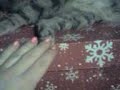 fricken-cat.html