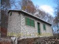 Guarda video