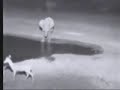 Olifant schikt Olifant schikt